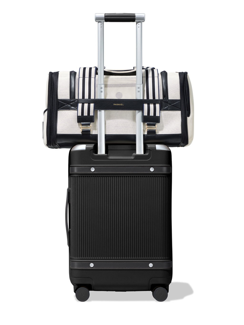 Samsonite online pet carrier