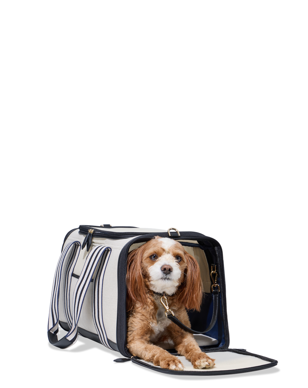 Cabana Pet Carrier Set Plus