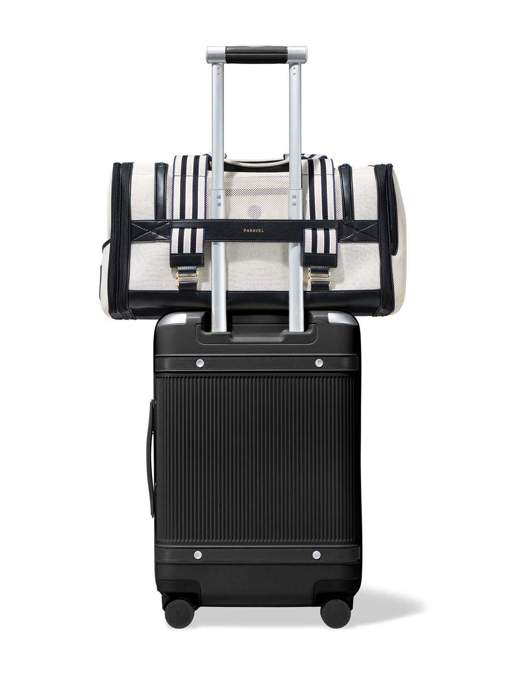 Samsonite pet carrier airline approved cheap