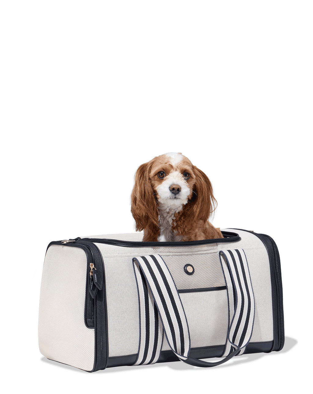 dog carrier bag