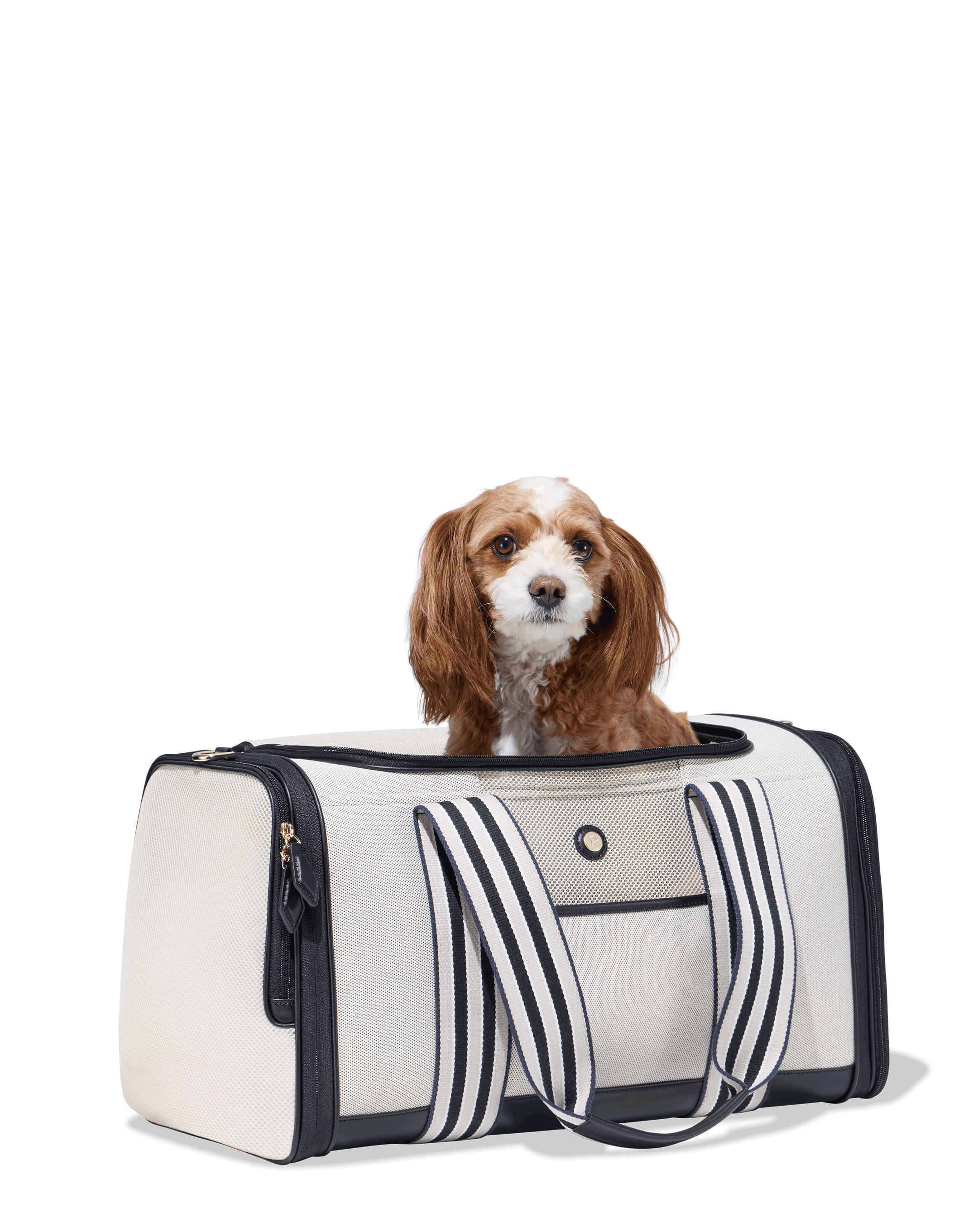 Foldable Plastic Pet Travel Carrier - Travel in Style and Comfort