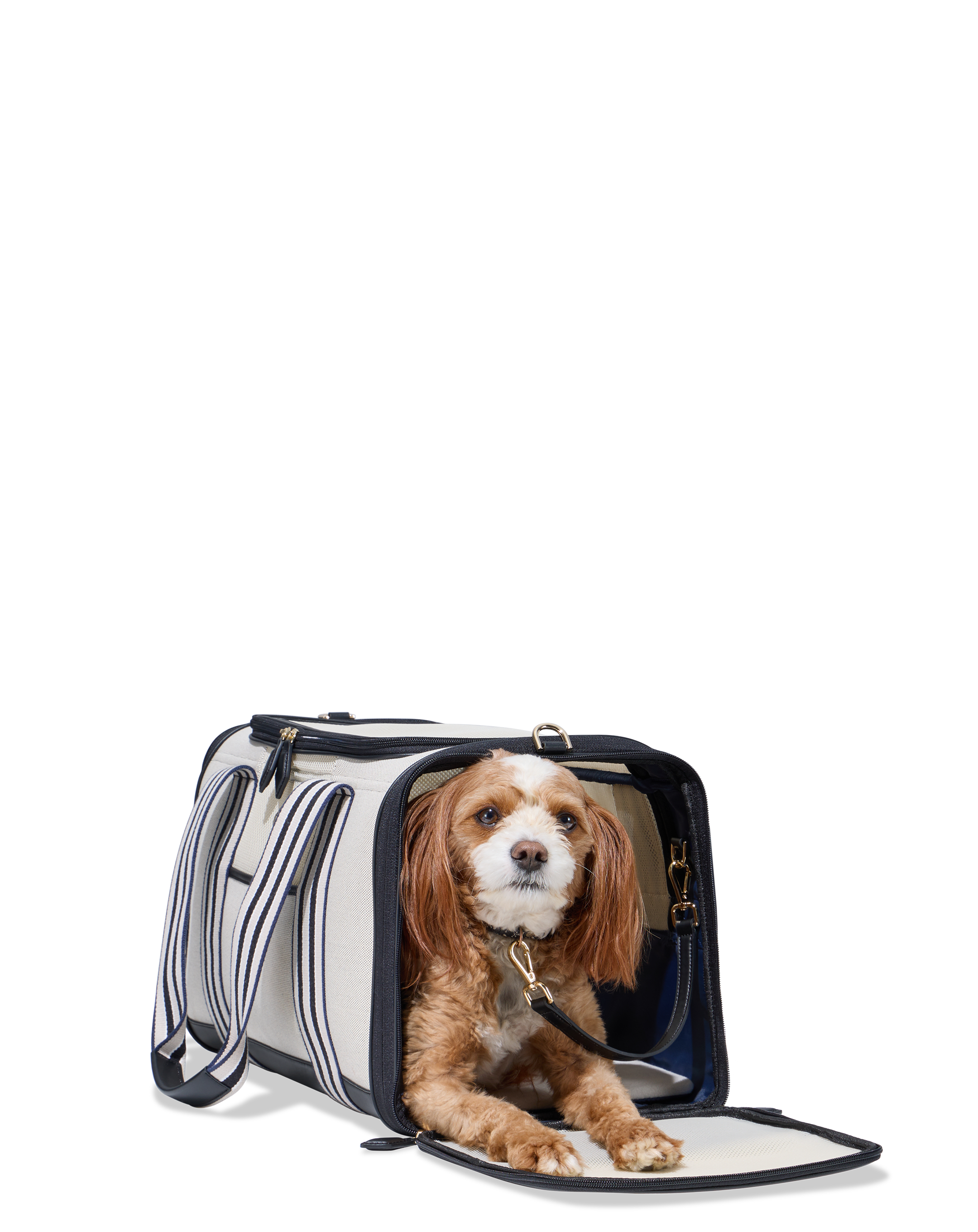 Roll Around Travel Dog Carrier Backpack - SnoozerPetProducts.com